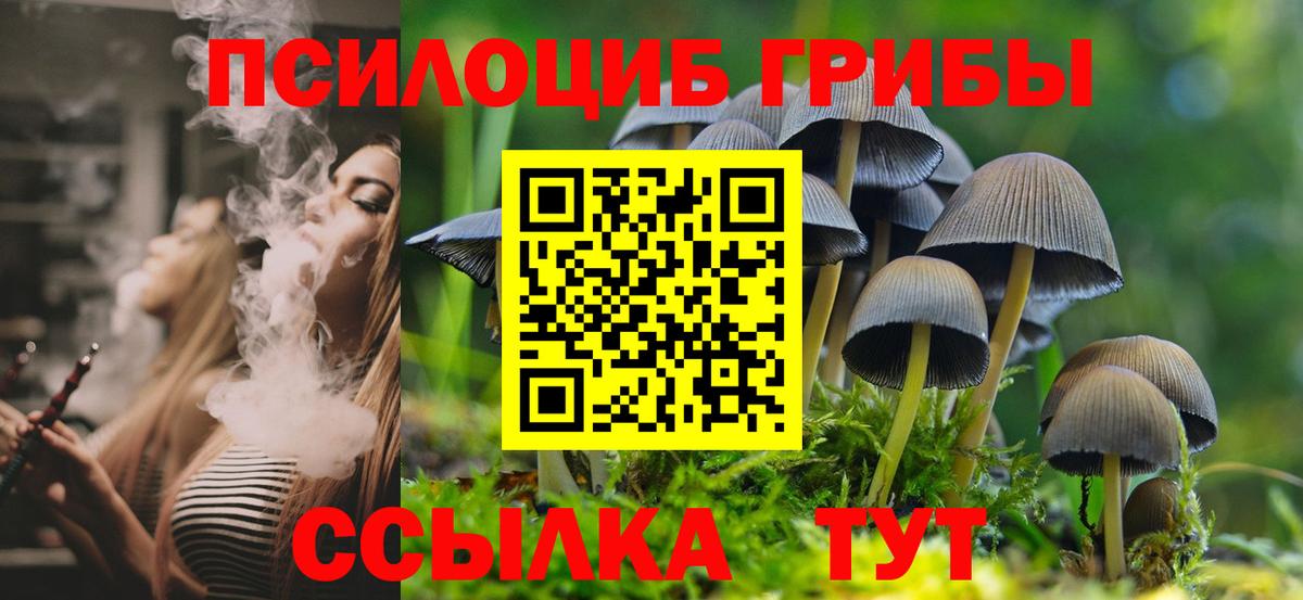 Гусиноозёрск  Галлюциногенные грибы Magic Shrooms  Галлюциногенные грибы мицелий  Вход с VPN 