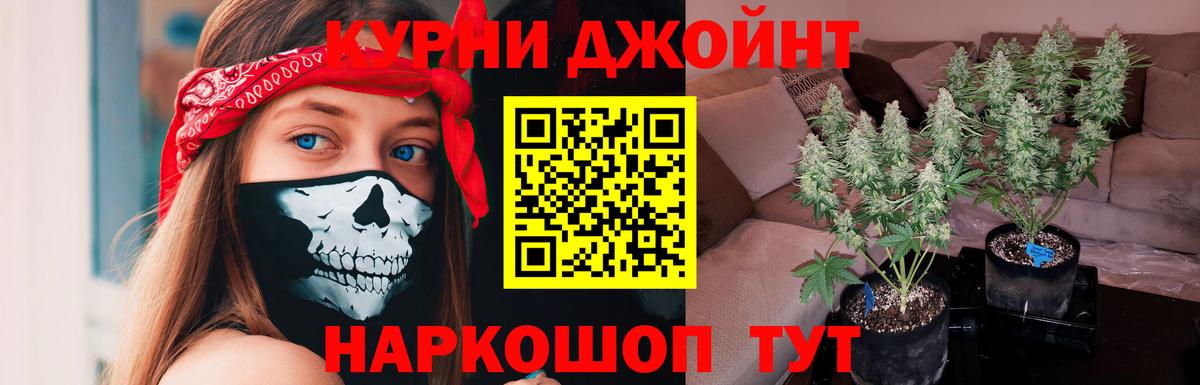 Бошки марихуана тримм Гусиноозёрск